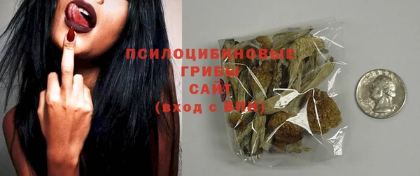 крисы Вяземский