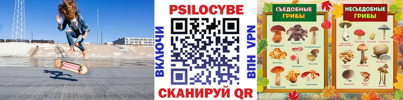 Псилоцибиновые грибы мицелий  Купить закладки  Кимовск 